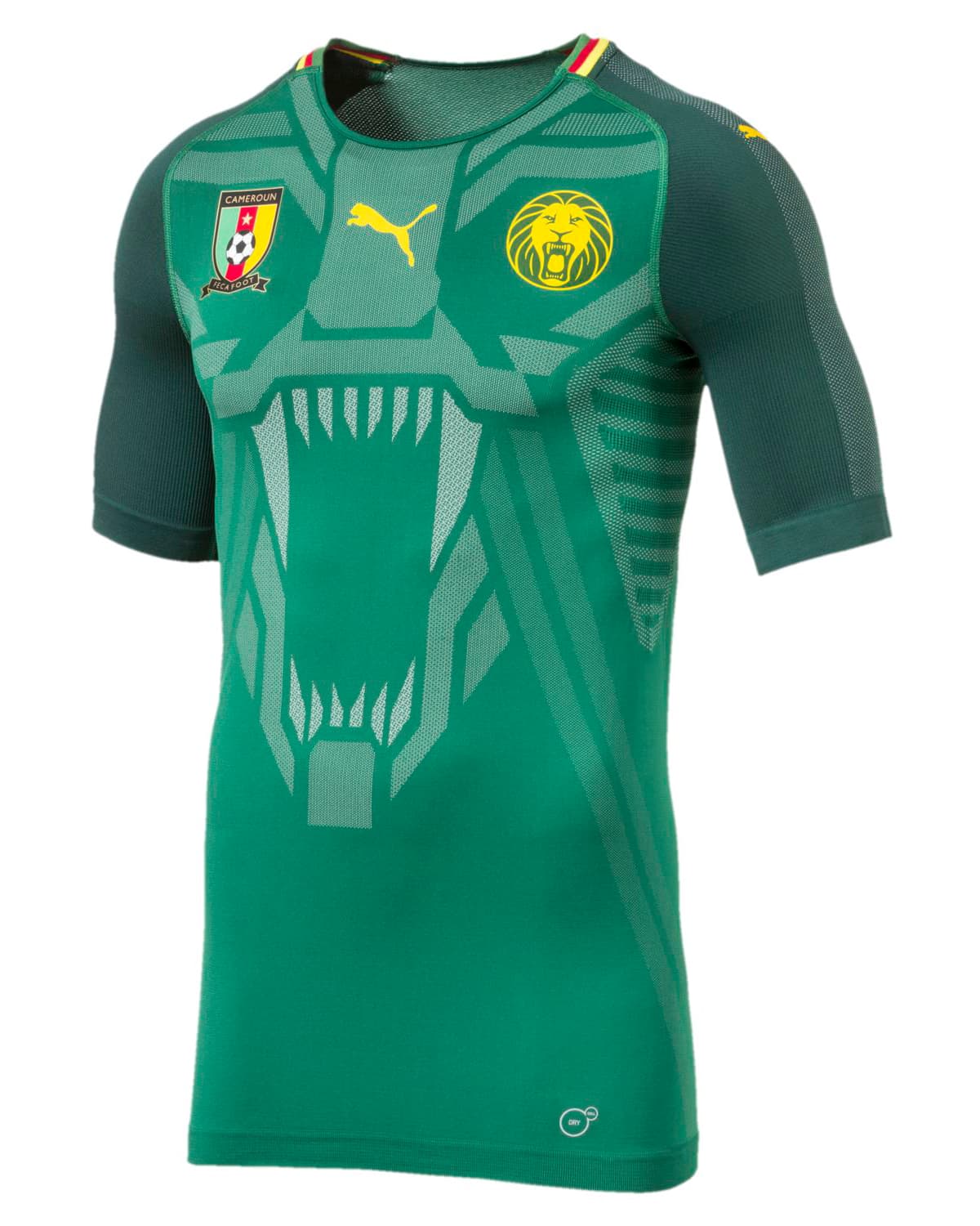 En la más reciente, con la que los cameruneses conmemoraron 20 años de unión entre la Federación y Puma, volvió el león en el fondo, pero en una versión más moderna. Sin duda, una obra de arte.