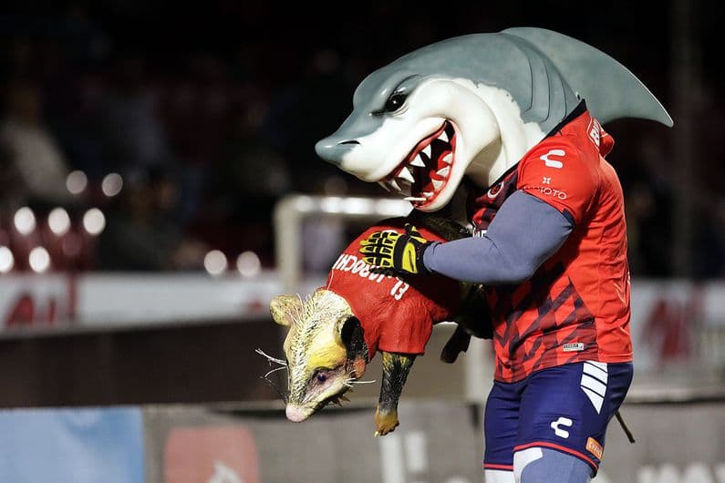 El Tibu Jarocho se convirtió en un ícono del futbol mexicano por sus diversas personalidades ¡Ahora homenajeó a Kobe Bryant y La Parka.