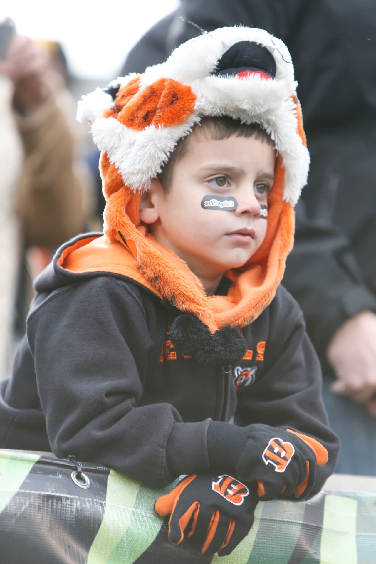 El ingrediente más importante en la NFL son sus aficionados, checa la mejor pasión de la Semana 12.