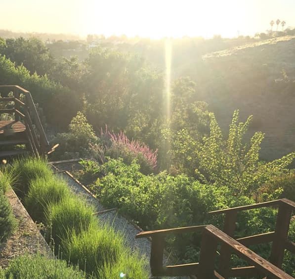 "Aquí hay algunas fotos de lo que queda de mi casa y recuerdos del pasado. Guardaré estos recuerdos y los guardaré en mi corazón para siempre. Cenas de Acción de Gracias, Navidad, Halloween y eventos de caridad que organizé en mi casa. El hogar de mi familia permanecerá en mi corazón cuando empiece a reconstruir donde sea que esté. Mi corazón está con mi familia y amigos. ¡Amo Malibú, mi casa siempre!".