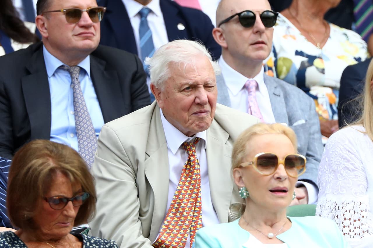 David Attenborough, uno de los científicos británicos más reconocidos por sus programas de televisión.