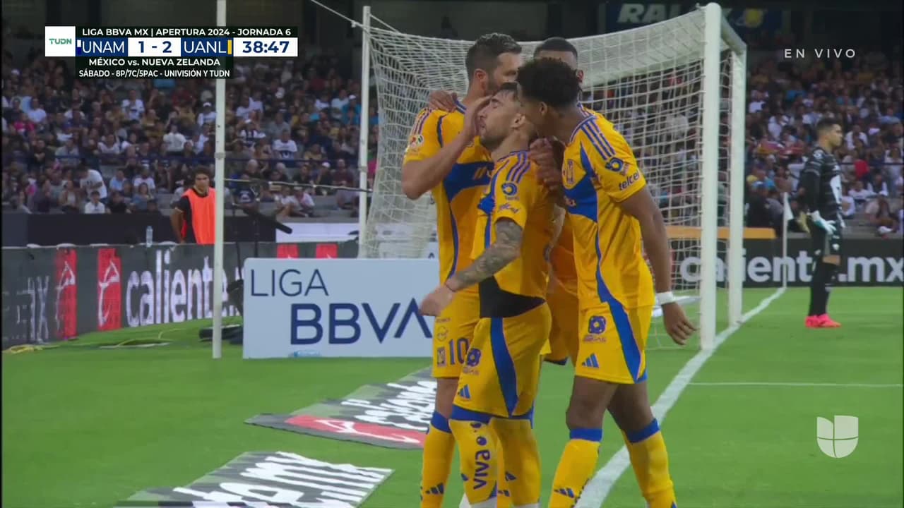 ¡GOL!  anota para Tigres. Fernando Gorriarán