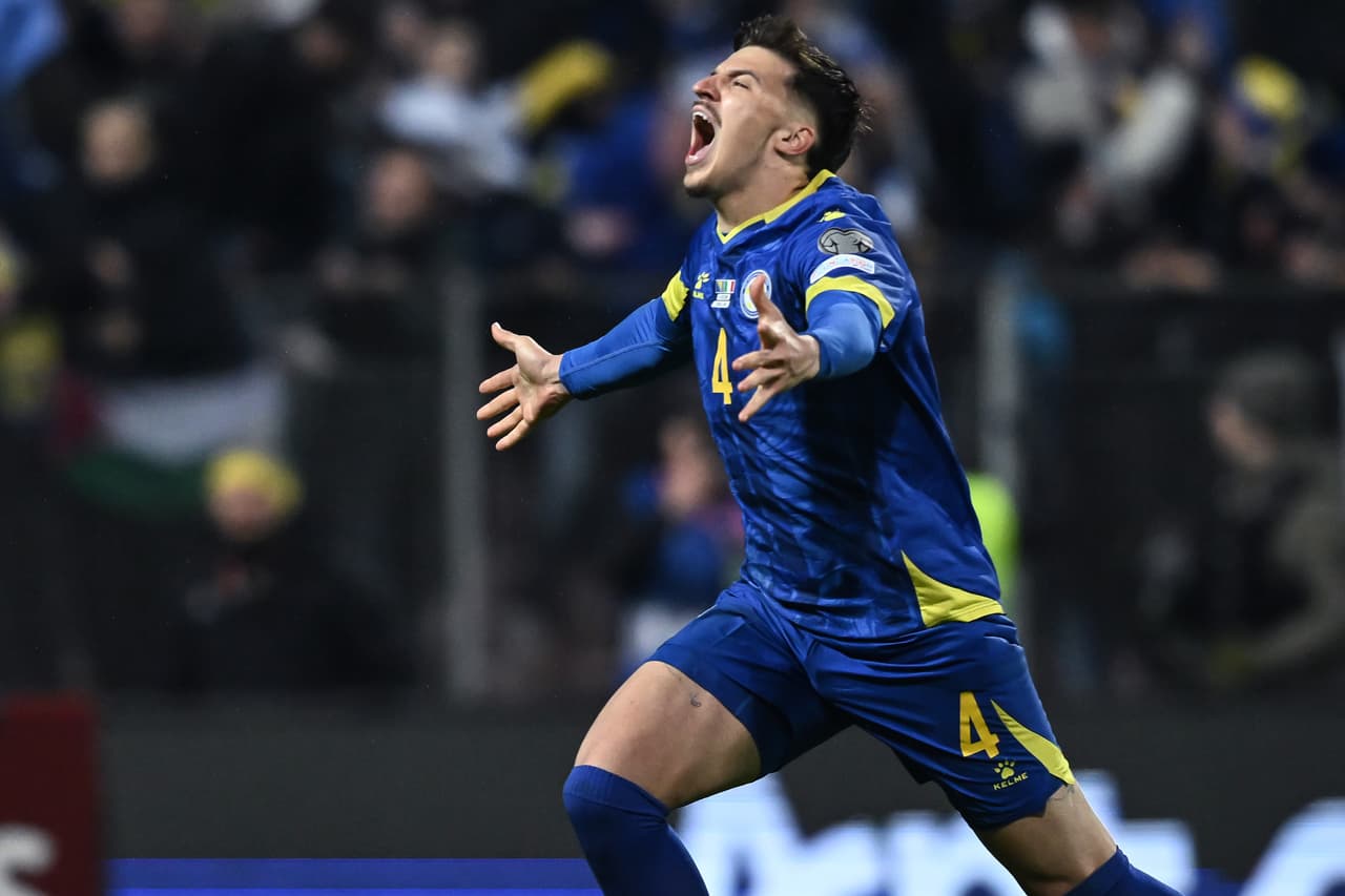 ¿Quién es el máximo goleador de la Selección de Bosnia y Herzegovina en la historia?