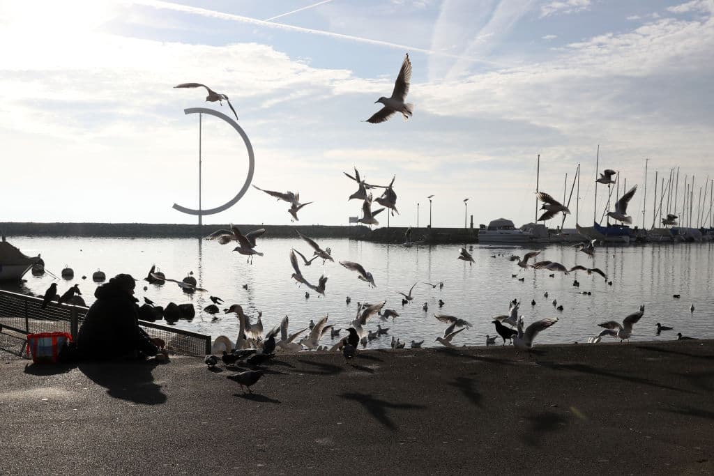 Los atletas ya se encuentran en la capital olímpica y están listos para dar inicio a tan importante justa para el mundo deportivo en categoría juvenil. Lausana se viste de colores para recibir a personas de todo el mundo listas para apoyar a su país.