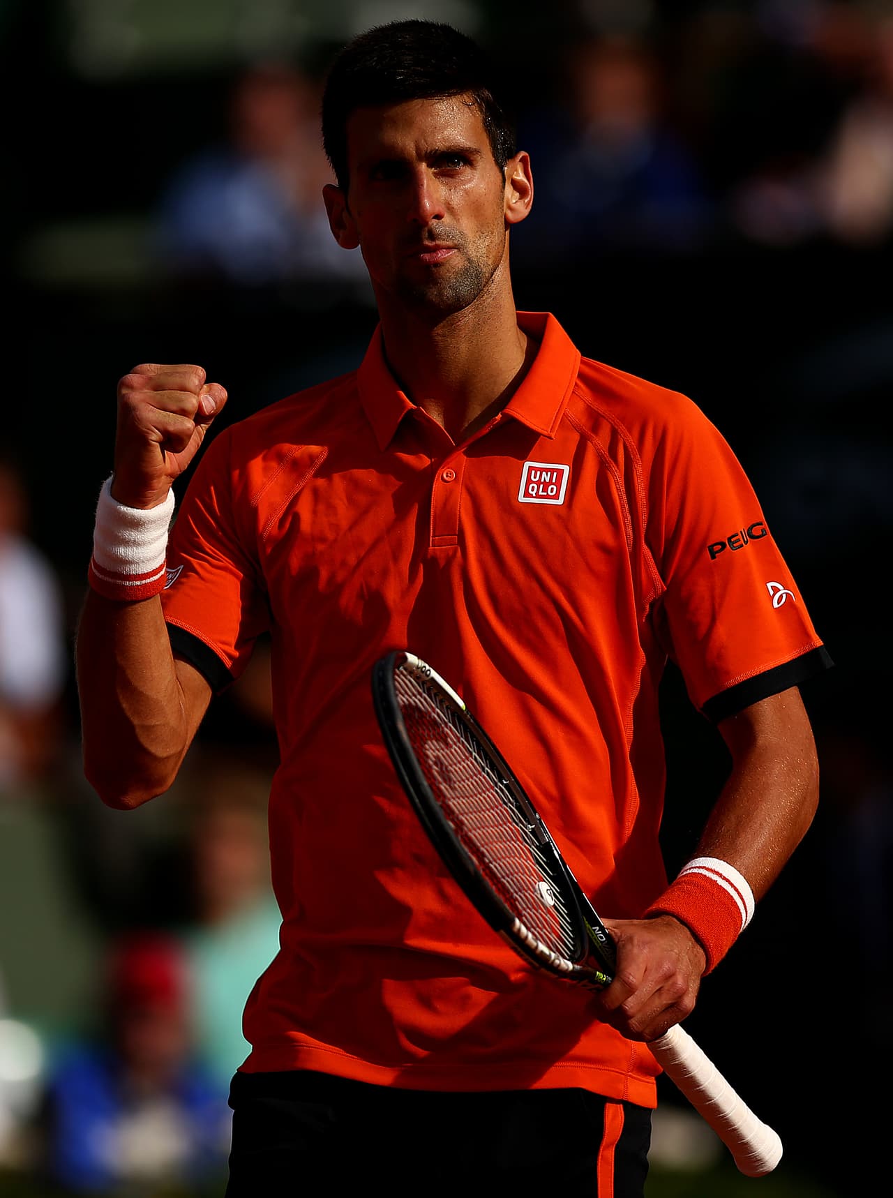 Te traemos las últimas noticias del torneo Roland Garros, la eliminación de Sharapova, nadal y Djokovic pasan, y la venezolana-española Muguruza pasa de ronda.