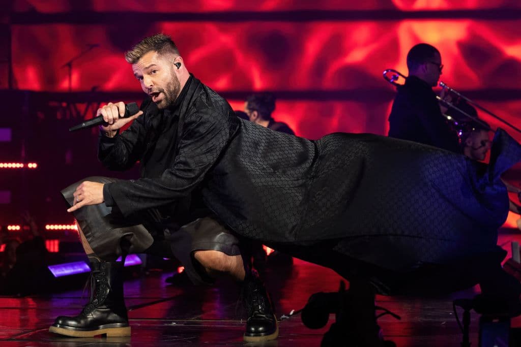 Ricky Martin
<br>