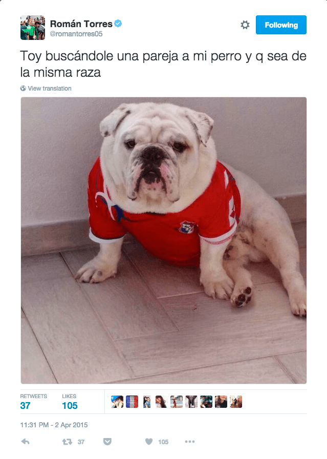 DEFENSA: Román Torres es uno de los mejores defensas de CONCACAF y su perrito demuestra la fuerza y patriotismo del panameño.