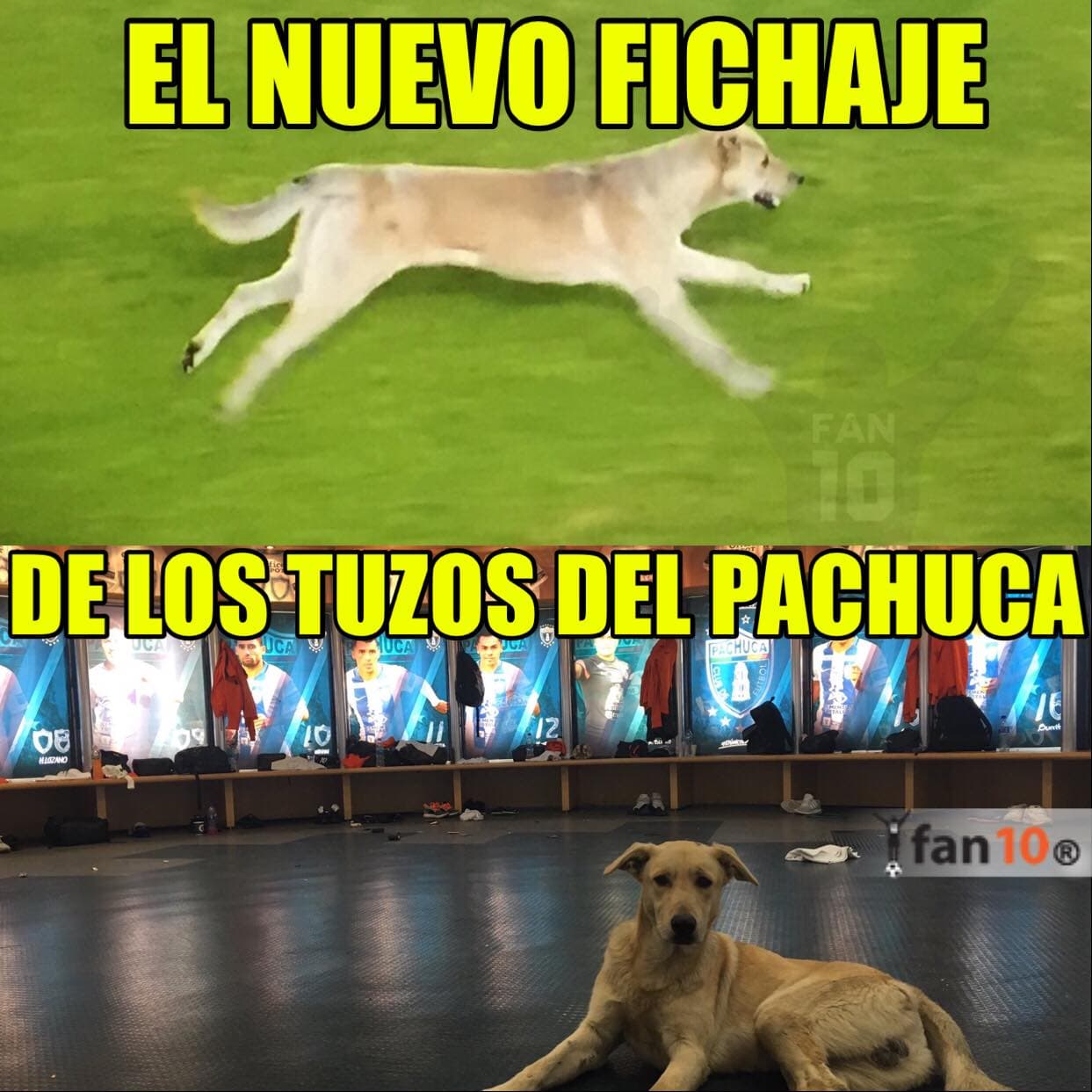 Ahora las burlas fueron con todo contra el arbitraje y la derrota que sufrió el campeón de la Liga MX así como con el gol del 'Gullit' Peña con León.