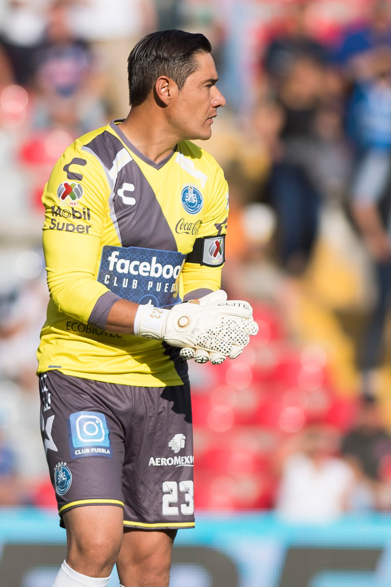 11 Puebla: 17 puntos producto de 5 victorias, 2 empates y 7 derrotas con 17 goles a favor y 19 en contra.