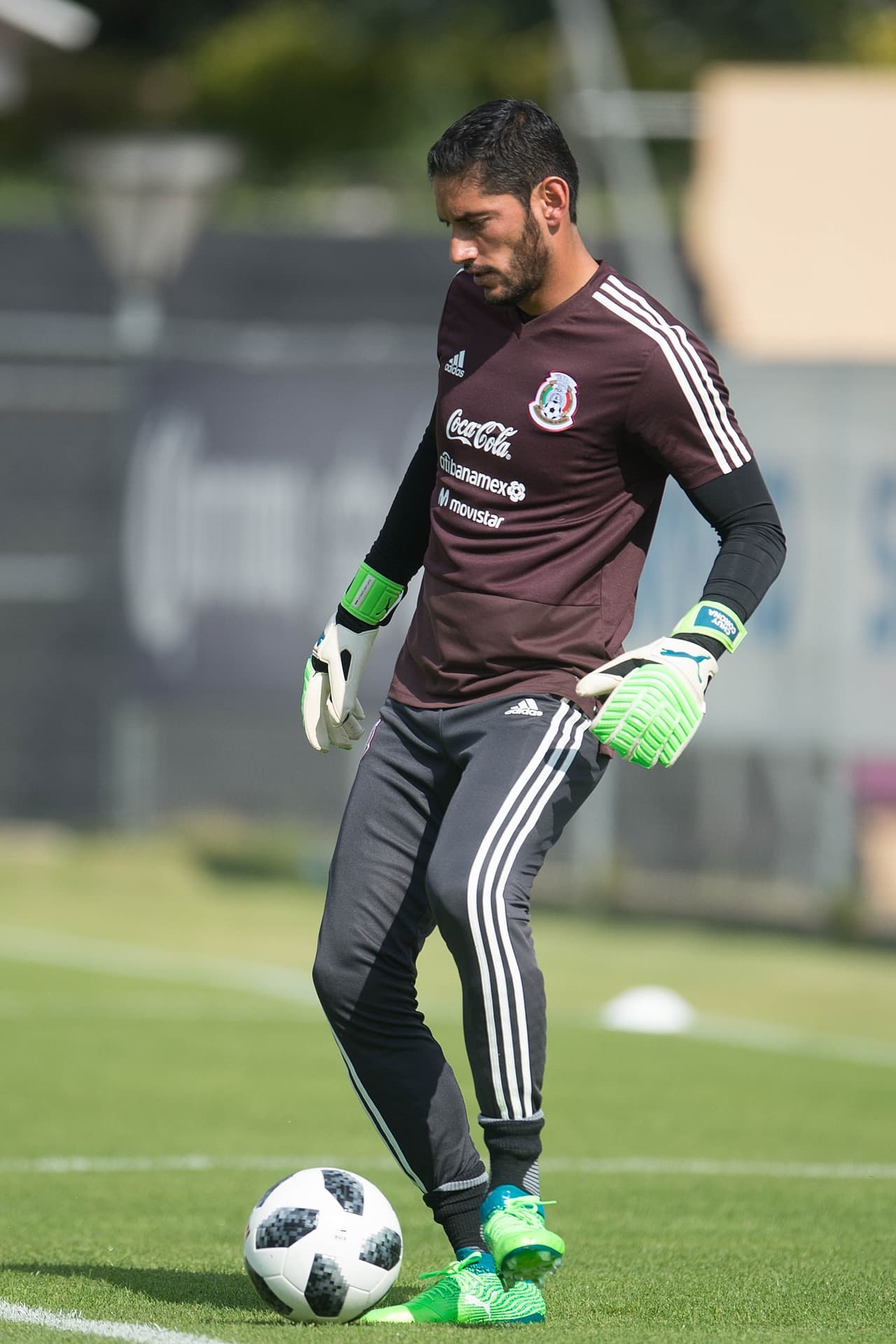 El portero Jesús Corona, los defensas Hugo Ayala, y Jesús Gallardo, los volantes Rafael Márquez, Erick Gutiérrez y Jesús Molina y los delanteros Javier Aquino y Jurgen Damm completaron el grupo.