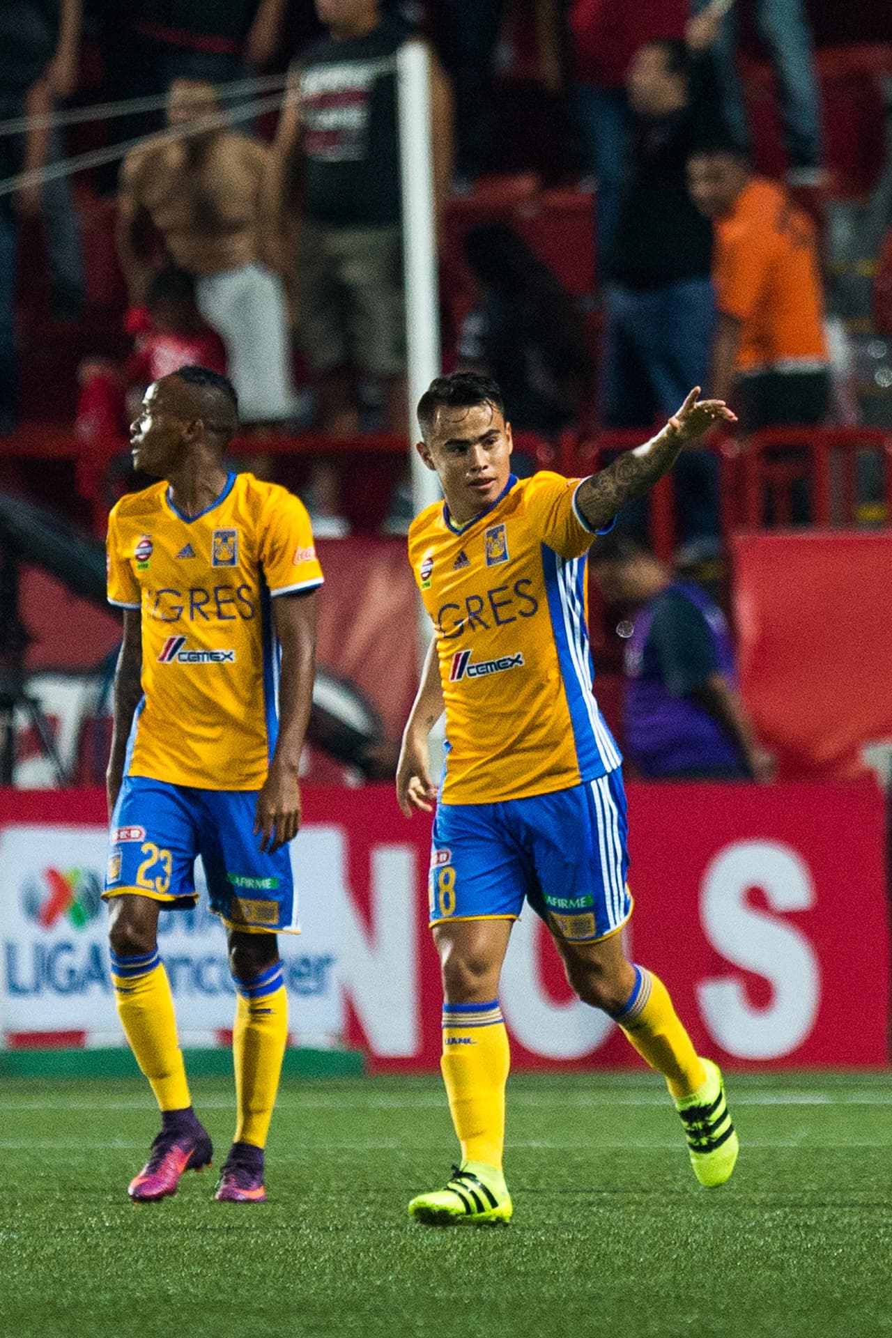 Zarpazo solitario, le quitó el invicto a Xolos en su casa y metió a Tigres a la Liguilla