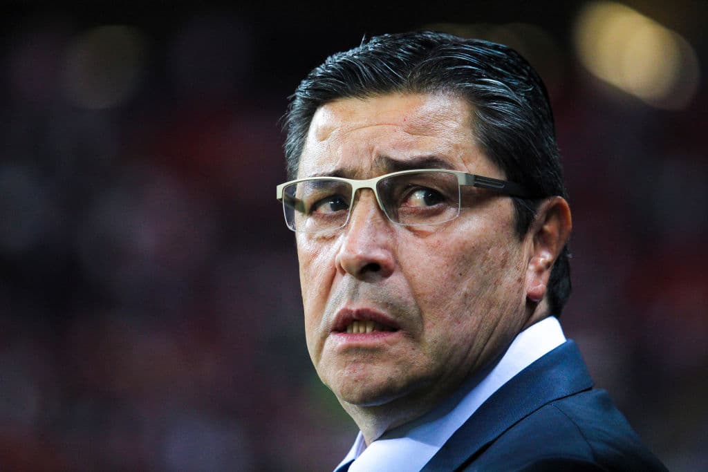 ¿Cuánto tiempo necesita Chivas para los resultados según Tena?