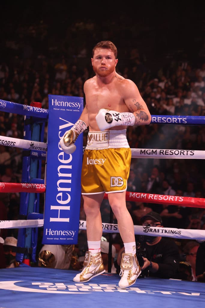 Saúl “Canelo” Álvarez
<br>