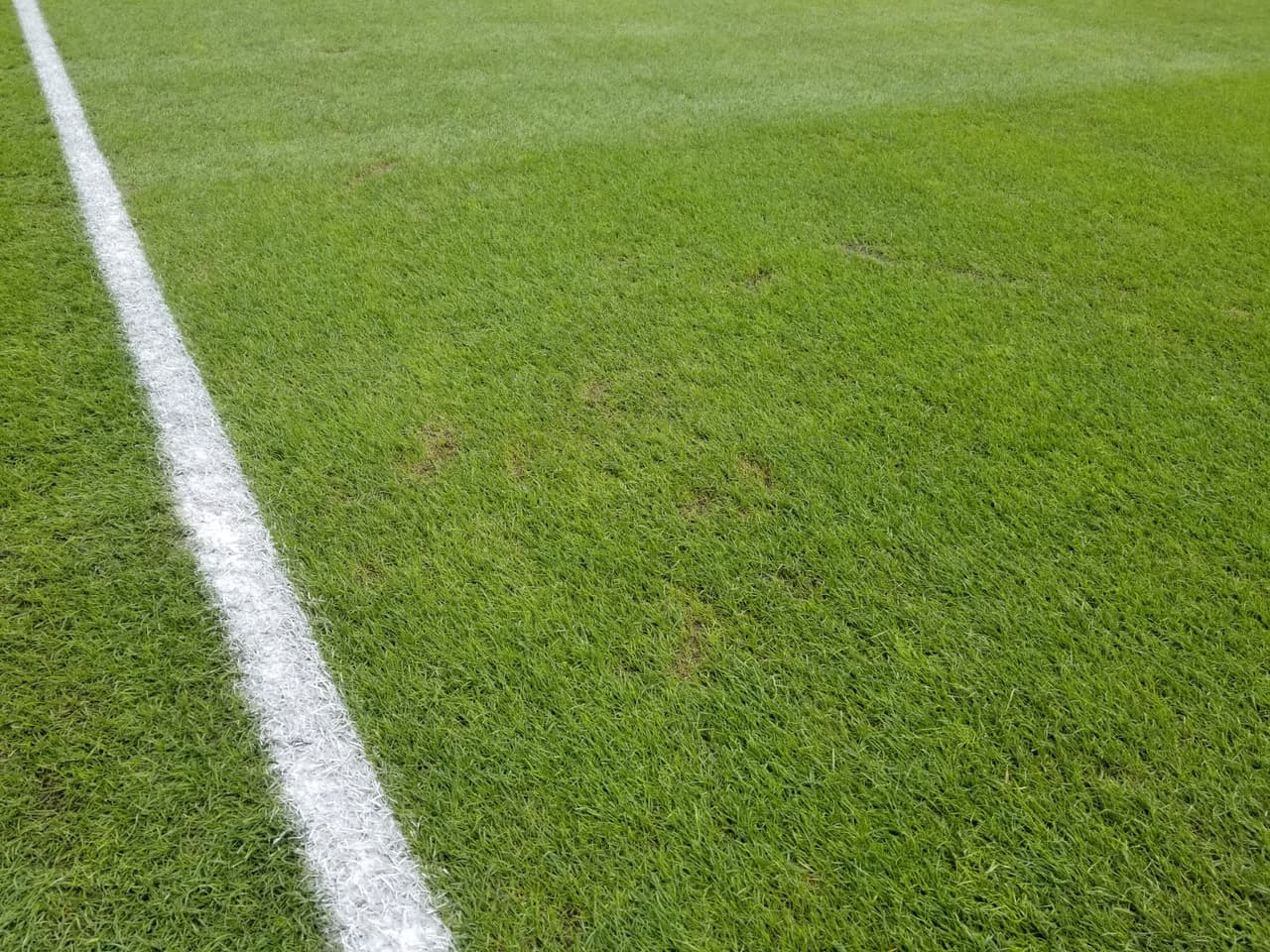 Las condiciones del terreno son aceptables para el juego de ida entre Toronto FC y Chivas de Guadalajara, en medio de un clima frío que sin duda cuenta como factor en el escenario.