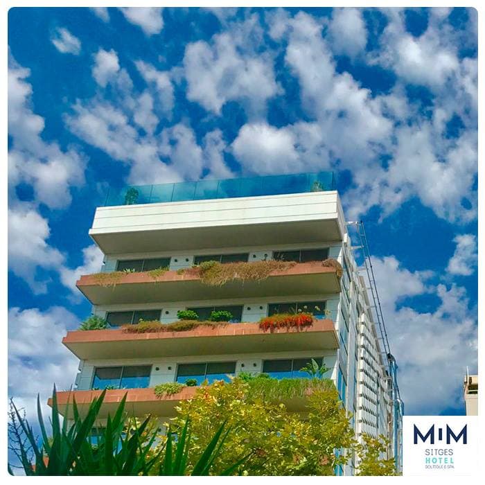 No es el único negocio que tiene la 'Pulga' en suelo español. Junto a Rodrigo, su hermano, adquirieron un Hotel en Sitges (Cataluña) cuyo nombre es Hotel MiM Sitges.