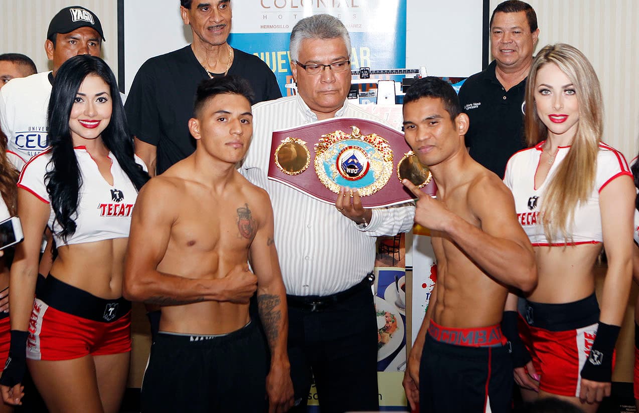 Una auténtica guerra es la que se espera entre el mexicano David “Severo” Carmona y el filipino Warlito “Cowboy” Parrenas, en su duelo por el campeonato mundial Supermosca interino de la Organización Mundial de Boxeo (OMB).