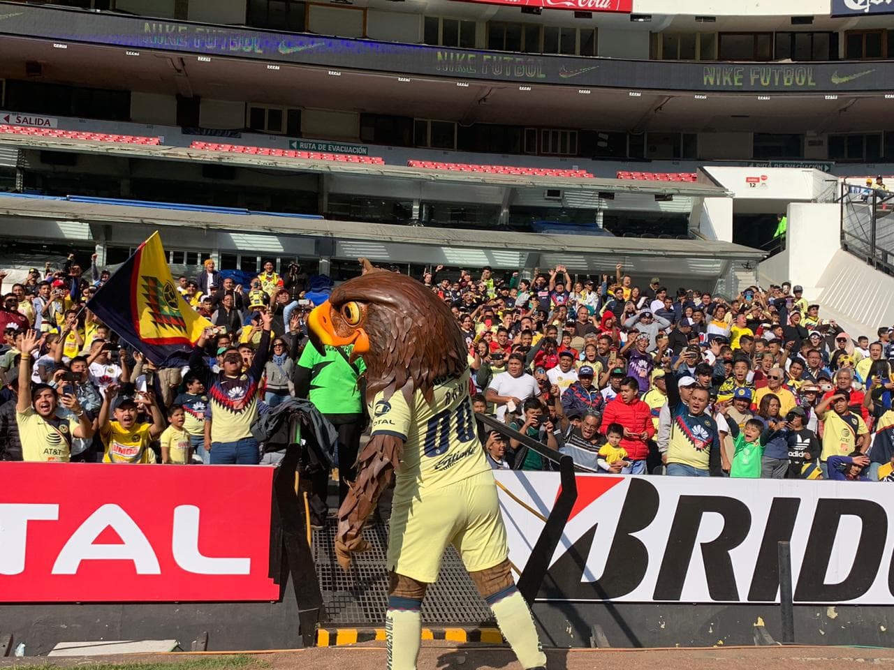 Fanáticos del América se reúnen para ver a su equipo entrenar previo a la final de la Liga MX del Apertura 2019.