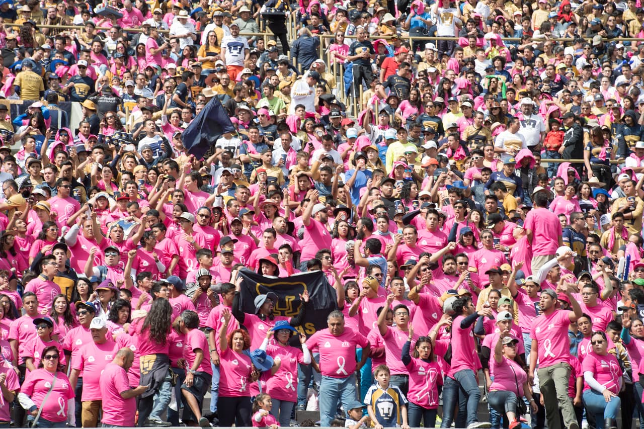 Mejor fan j 14 apertura 2016