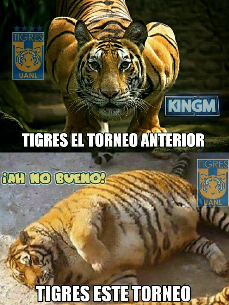 América y Atlas fueron la burla en las redes sociales y comenzaron a calentar el clásico del fútbol mexicano entre Chivas y Águilas.