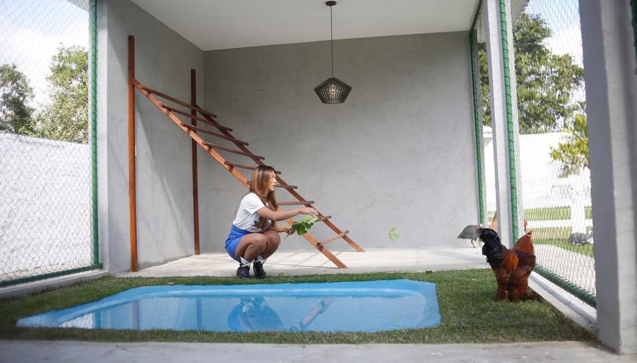 Nicole Bahls costuma variar a alimentação de suas galinhas de estimação