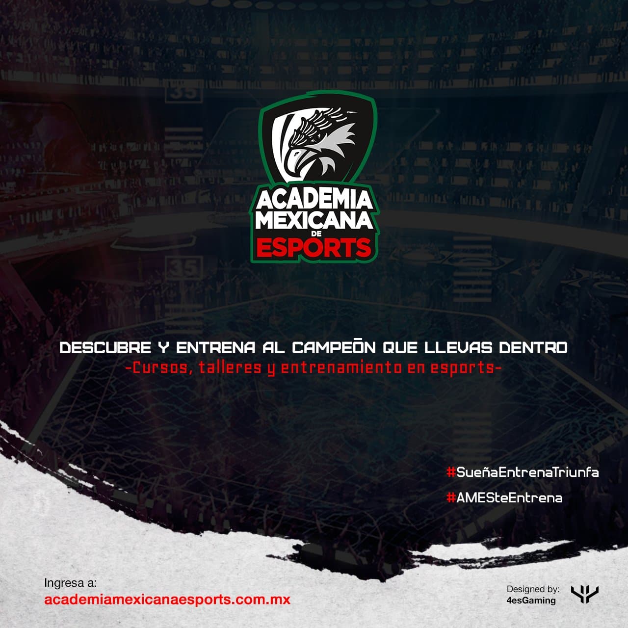 Nuevos cursos impartidos por la AMES