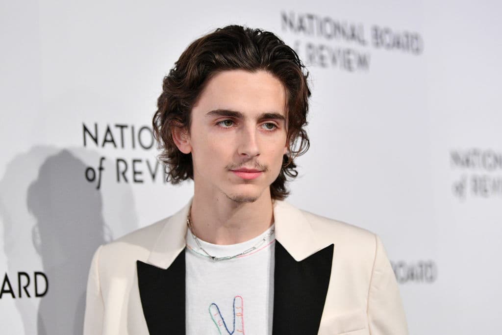 Timotheé Chalamet | actor