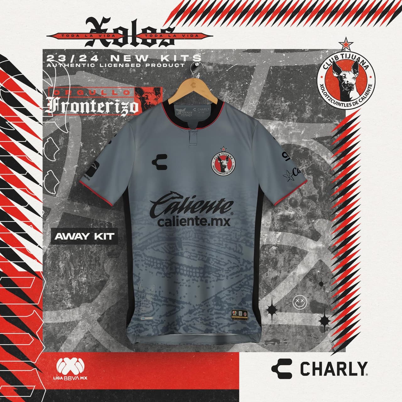 Exuberante diseño de Tijuana en su jersey de visitante en gris completo.