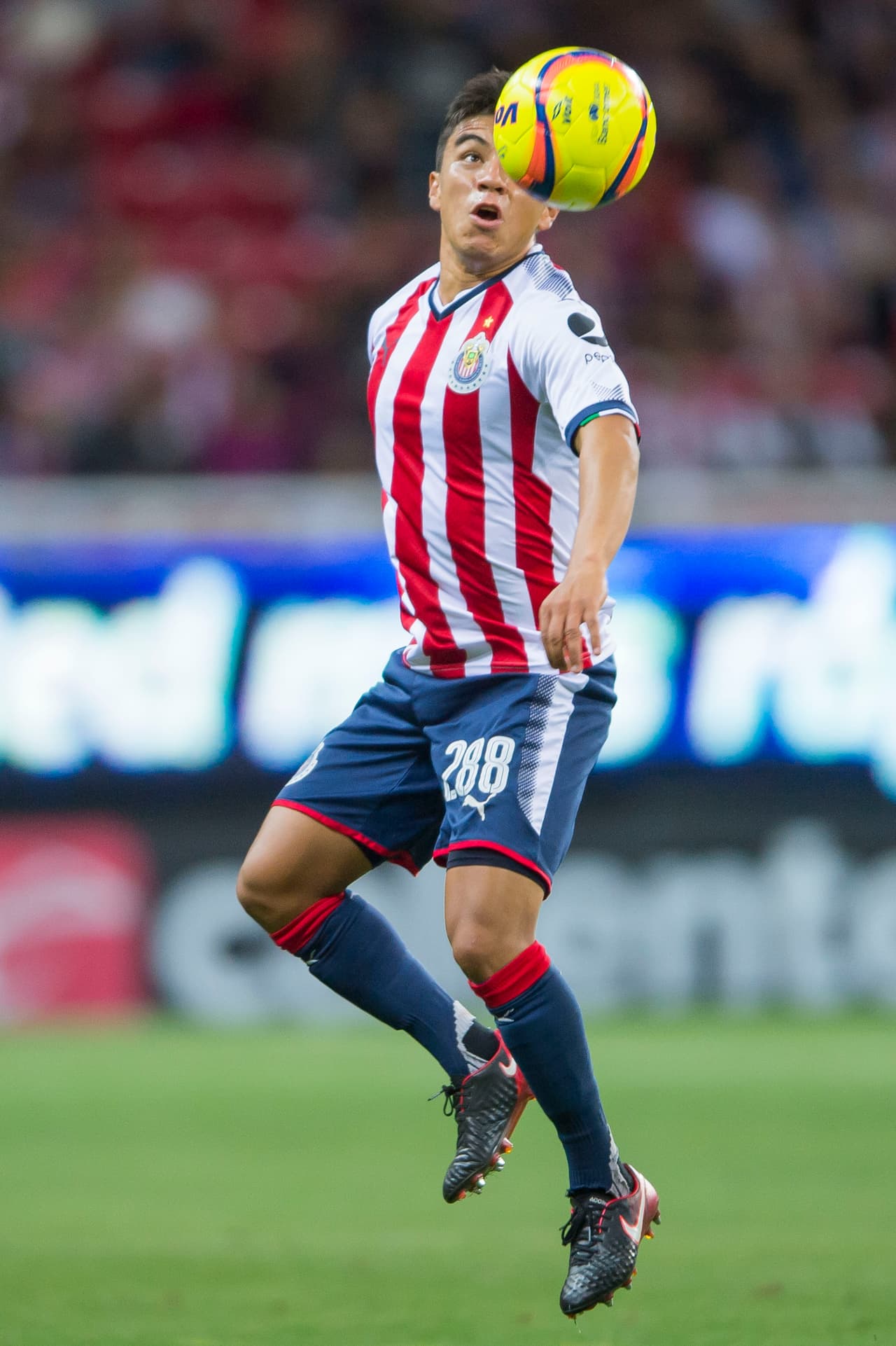 15 Chivas: 15 puntos producto de 3 victorias, 6 empates y 5 derrotas con 14 goles a favor y 18 en contra.