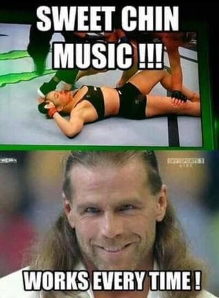 Memes de la derrota de Ronda Rowsey