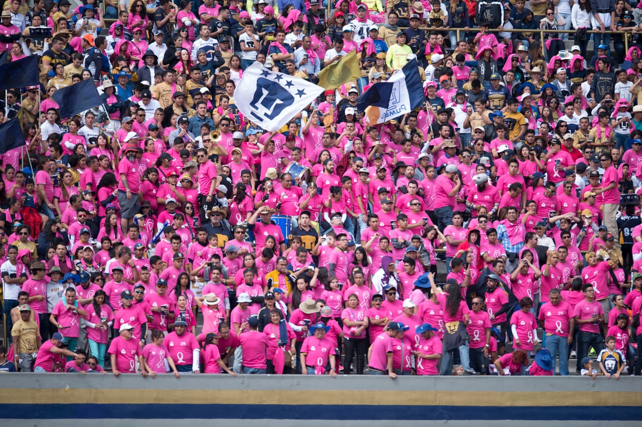 Mejor fan j 14 apertura 2016