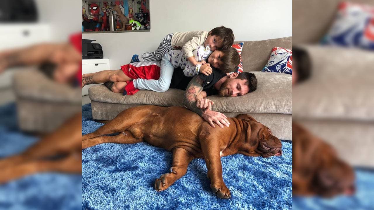 La fiel mascota del argentino convive con toda la familia.