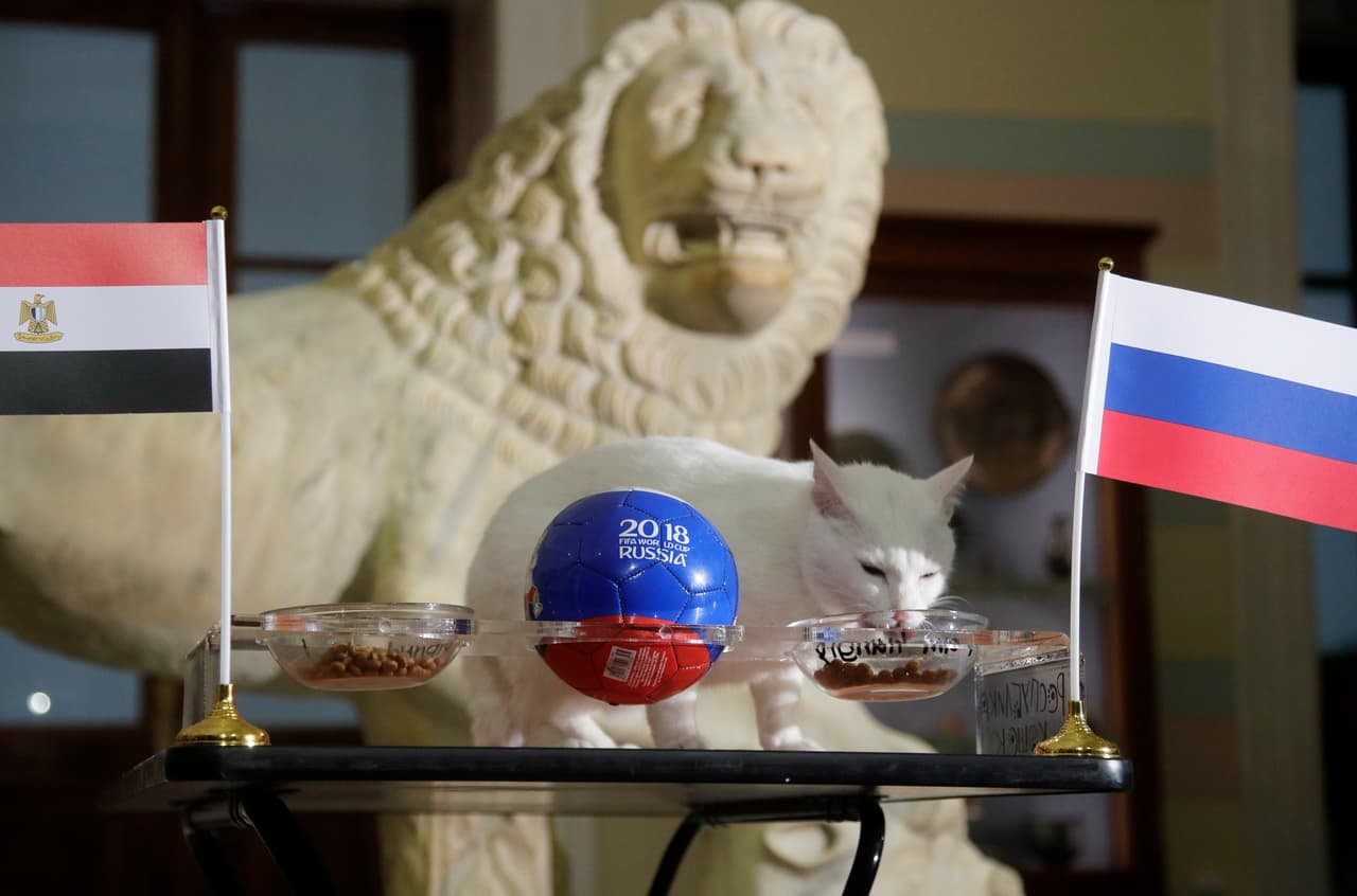 Aparte del primer partido, Aquiles también acertó a Rusia contra Egipto y al triunfo de Brasil contra Costa Rica.