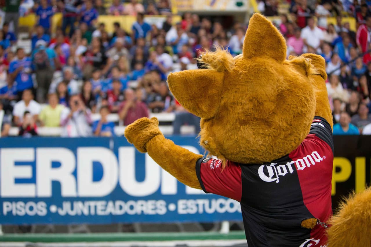 El colorido de la afición en la Jornada 11