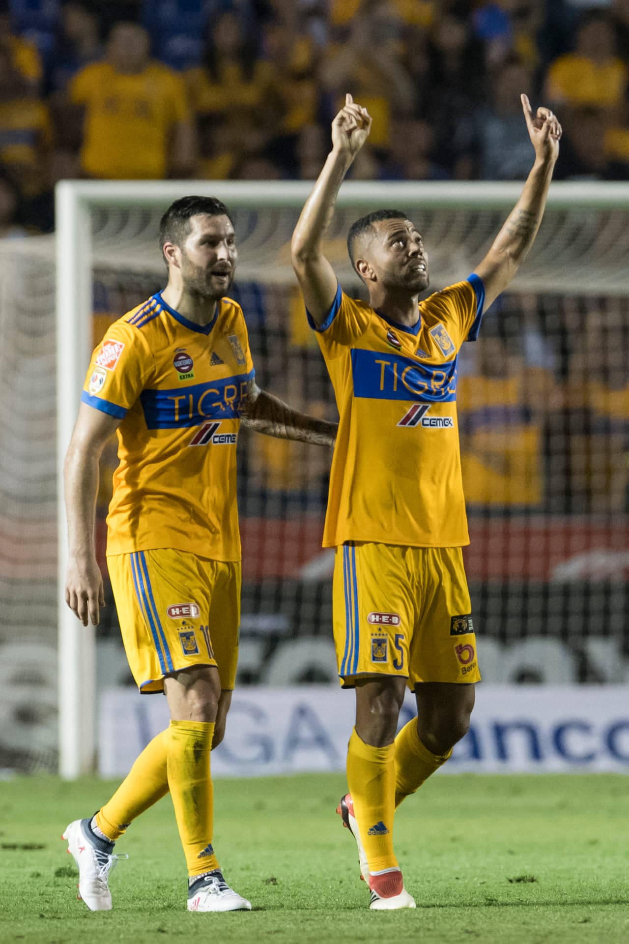 Con Ricardo 'Tuca' Ferreti en la banca, los Tigres viven una etapa de gloria y cada torneo deben ser considerados como favoritos al título.