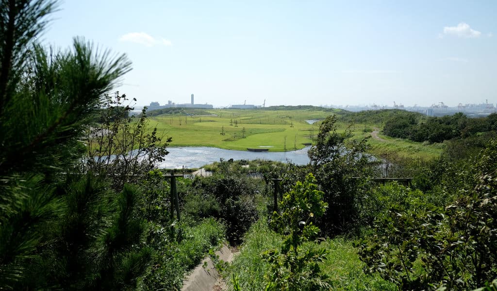 Los escenarios para cross country son unos de los que tienen especial tratamiento.