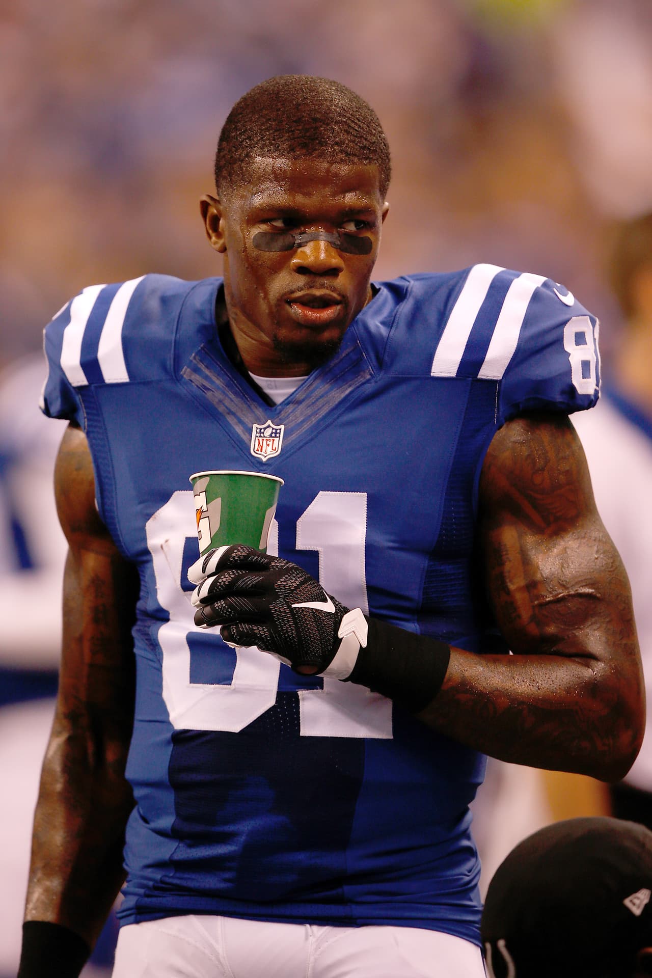 ... Se suponía que Johnson sería una mejora sustantiva al veterano con grandes problemas de lesiones Reggie Wayne, acelerando al desarrollo de Andrew Luck. En vez de ello, Luck ha dado pasos atrás que no se pensaban y Johnson ha sido superado en su nivel de juego incliusive por el quinto receptor Griff Whalen.