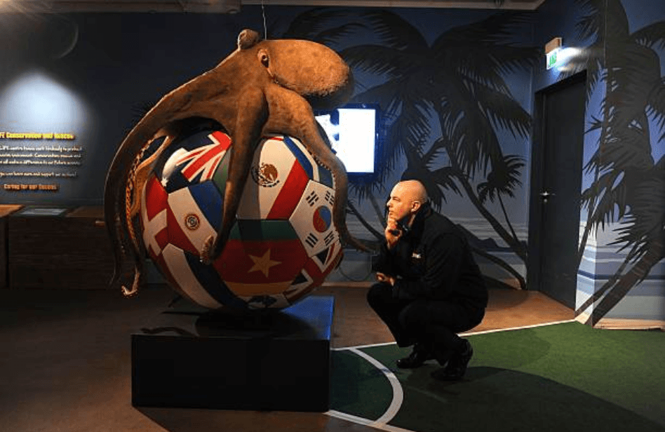 Desde el Pulpo Paul, ningún oráculo ha pronosticado correctamente los resultados de un Mundial