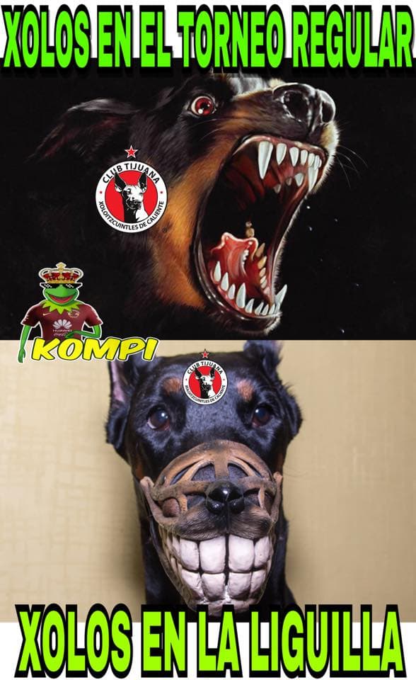 Se jugaron los primeros duelos de los cuartos de final y los memes aplaudieron a Pumas y Tigres, pero acabaron con Xolos.