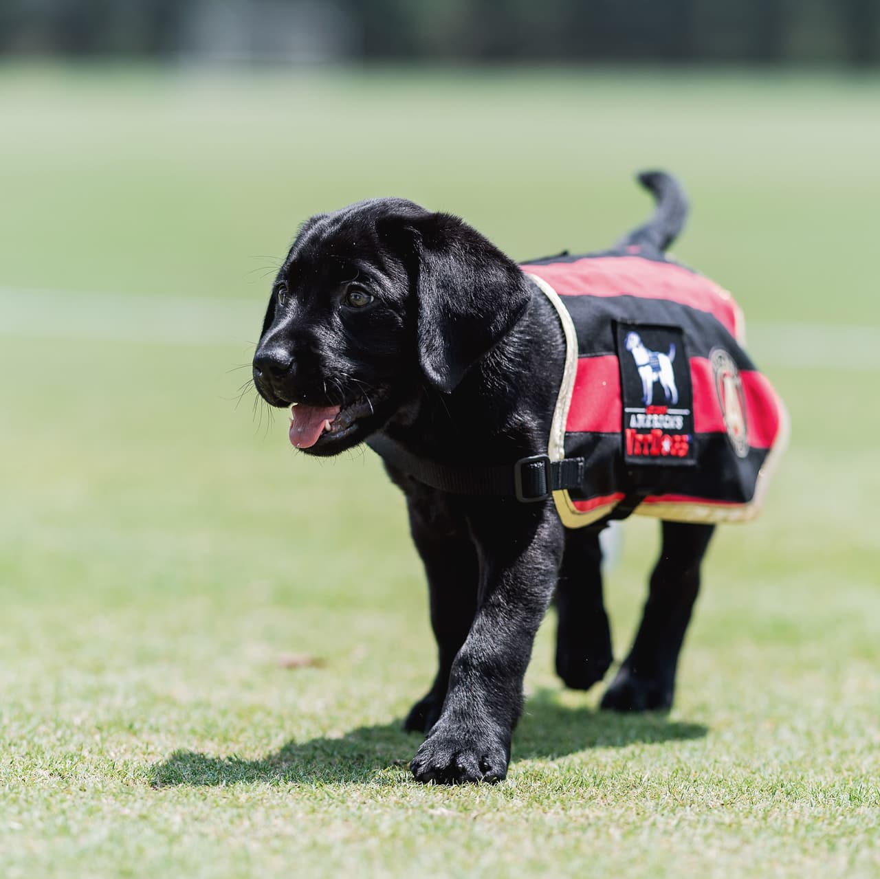 Atlanta United FC tiene un nuevo ocupante en el vestuario y en el centro de entrenamiento.
<br>