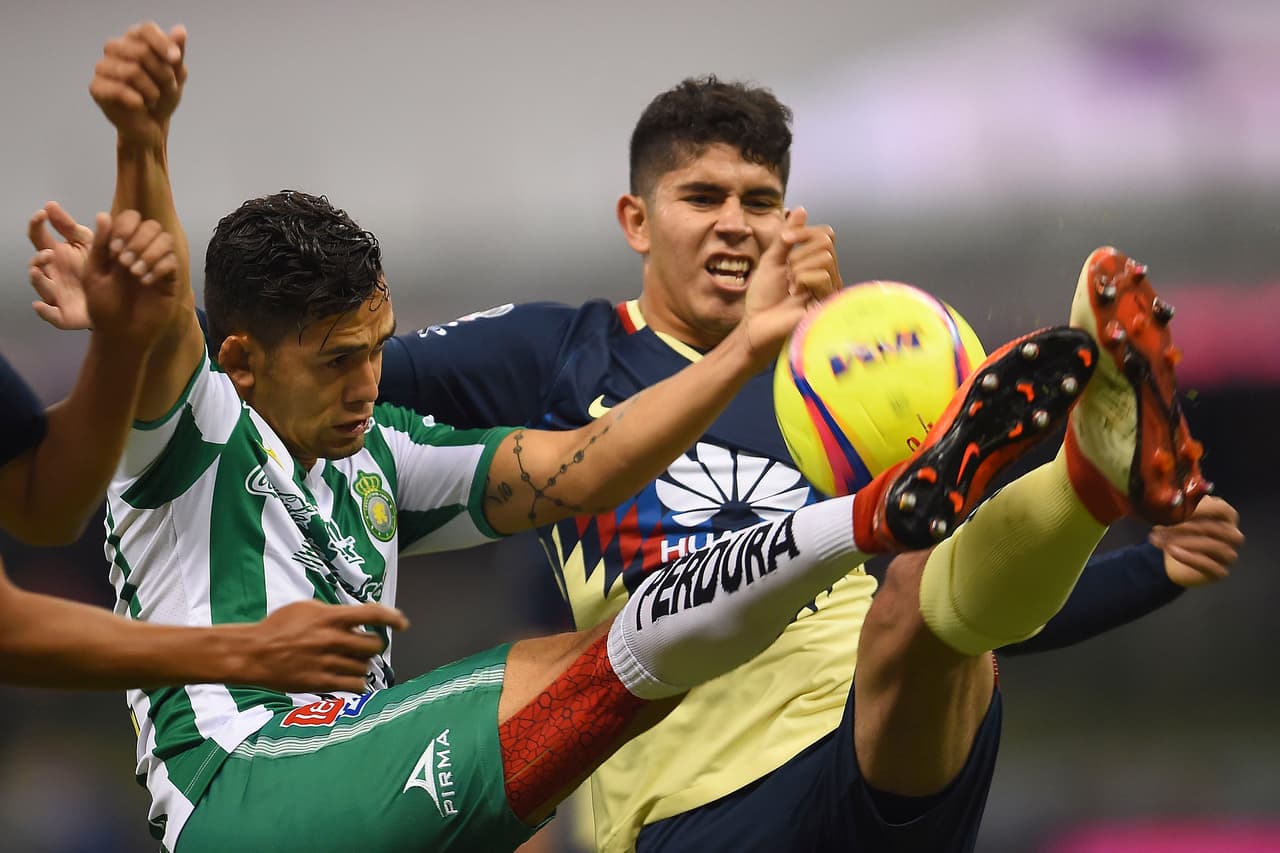 Ha sido un torneo muy consistente para los emplumados