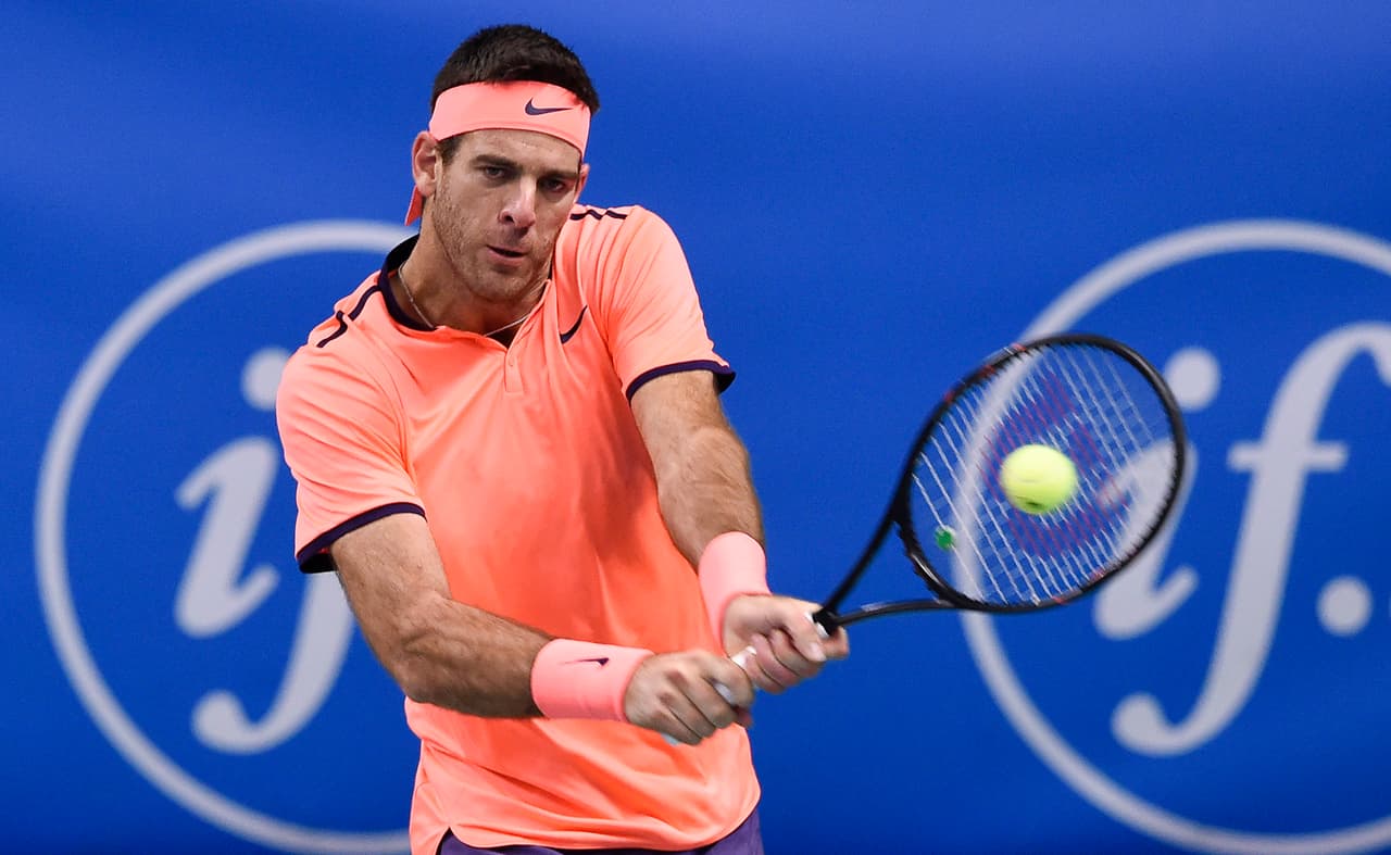 Juan Martín Del Potro.