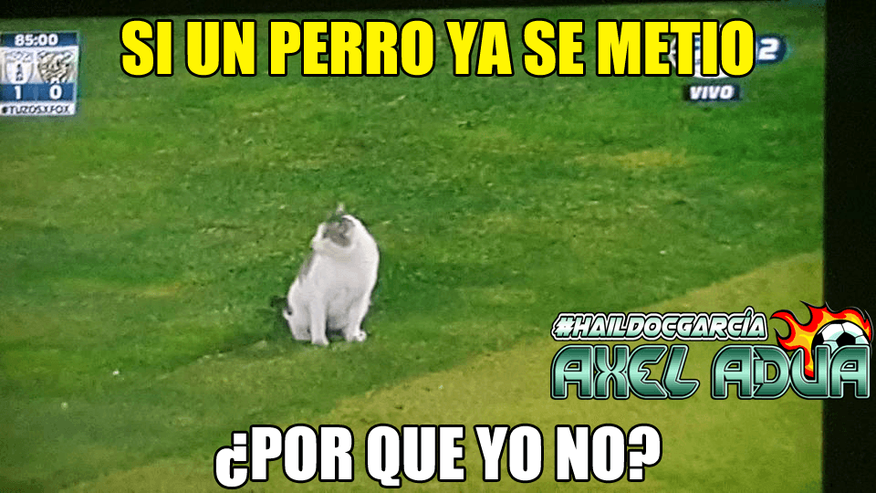 Ahora las burlas fueron con todo contra el arbitraje y la derrota que sufrió el campeón de la Liga MX así como con el gol del 'Gullit' Peña con León.