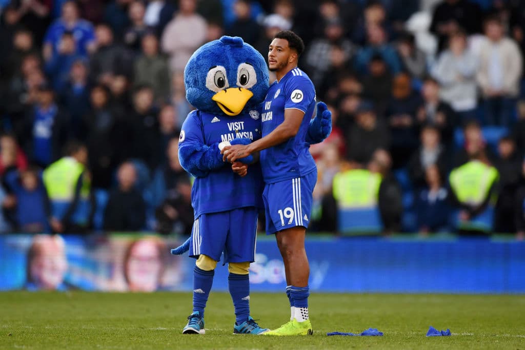 El Cardiff City se marcha de la Premier League al sumar 34 unidades y culminar en el puesto 18. Pese a cerrar con trinfo de 2-0 sobre el Manchester United, esto no bastó para que fueran relegados al Championship.