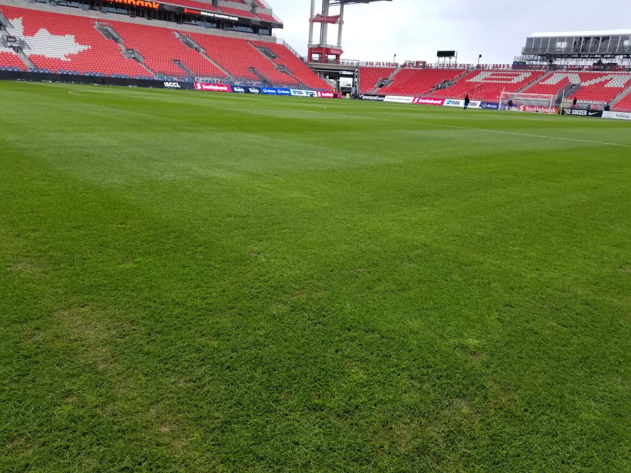 Las condiciones del terreno son aceptables para el juego de ida entre Toronto FC y Chivas de Guadalajara, en medio de un clima frío que sin duda cuenta como factor en el escenario.