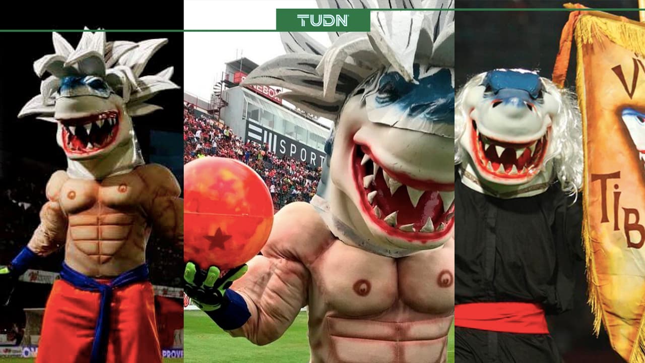 Se despide 'Tibu Jarocho', la simpática botarga del Veracruz