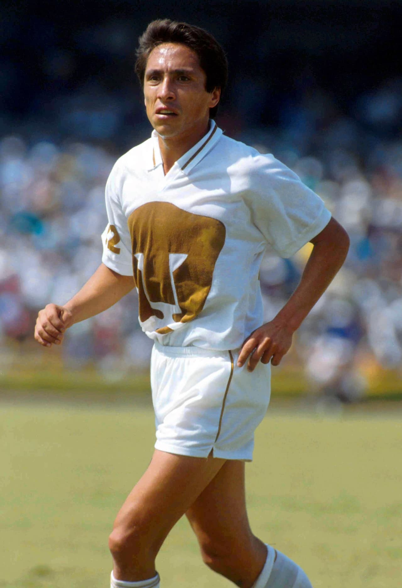 La última vez que Pumas le ganó al Guadalajara como visitante ocurrió en la lejana temporada 1981-82 cuando los universitarios vencieron a Chivas el 7 de febrero con gol de Manuel Negrete.