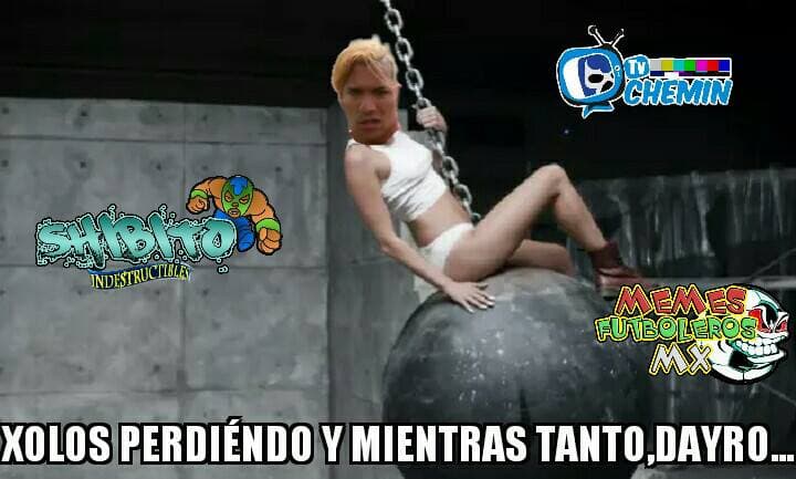 Se jugaron los primeros duelos de los cuartos de final y los memes aplaudieron a Pumas y Tigres, pero acabaron con Xolos.