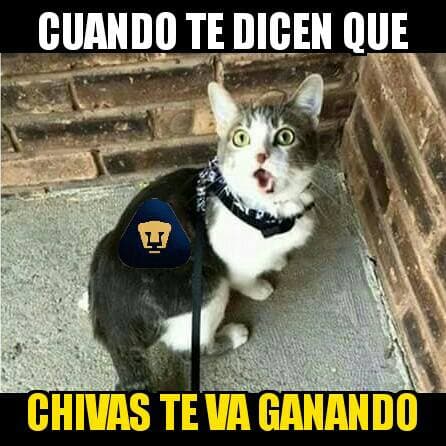 Cruz Azul ganó en su debut, sin embargo, la redes sociales se mofaron de su triunfo así como de la derrota de Pumas ante Chivas.