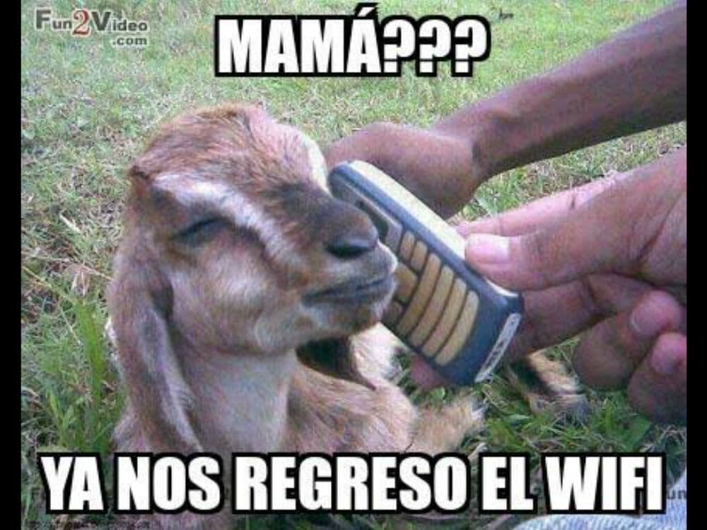 Memes Jornada 10 Apertura 2015