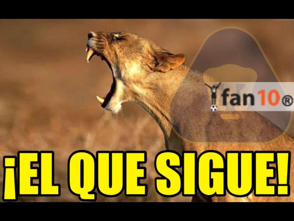 Memes Jornada 10 Apertura 2015